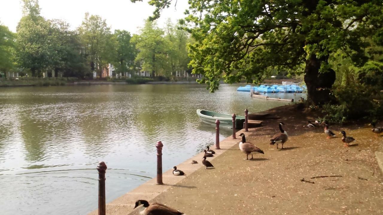Crystal Palace B&B London Eksteriør billede